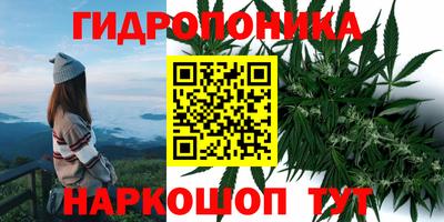 мяу мяу мука Балаково