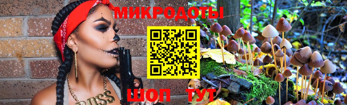 Псилоцибиновые грибы Cubensis Горно-Алтайск