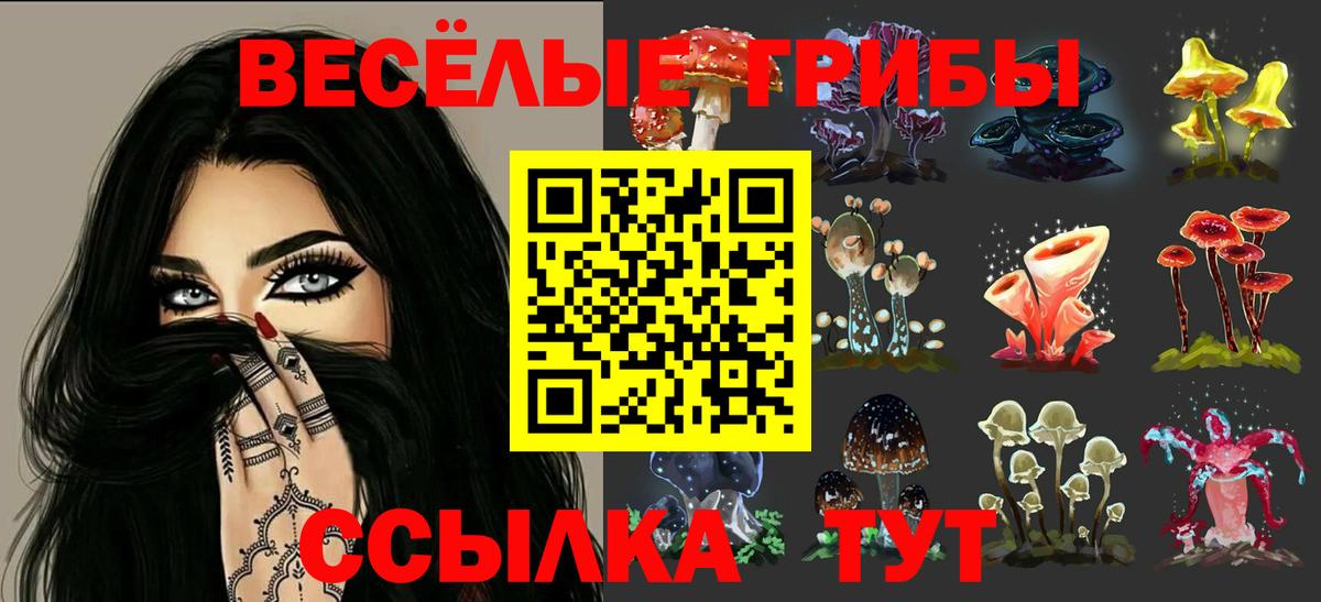 Горно-Алтайск  Псилоцибиновые грибы Psilocybe  Вход с VPN  Галлюциногенные грибы Psilocybe 